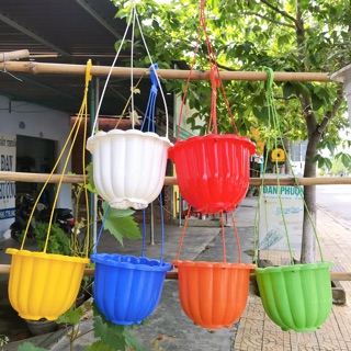Chậu nhựa treo bí nhiều màu