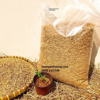 Vỏ trấu tươi (500g) Tạo Độ Thông Thoáng Cho Rễ Cây, Thúc Đẩy Sự Phát Triển Bộ Rễ