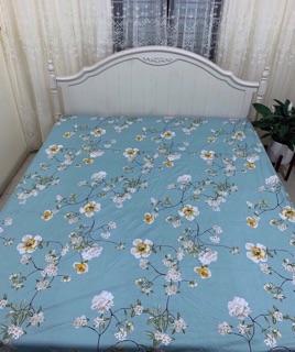 Ga chống thấm cotton 2 in 1