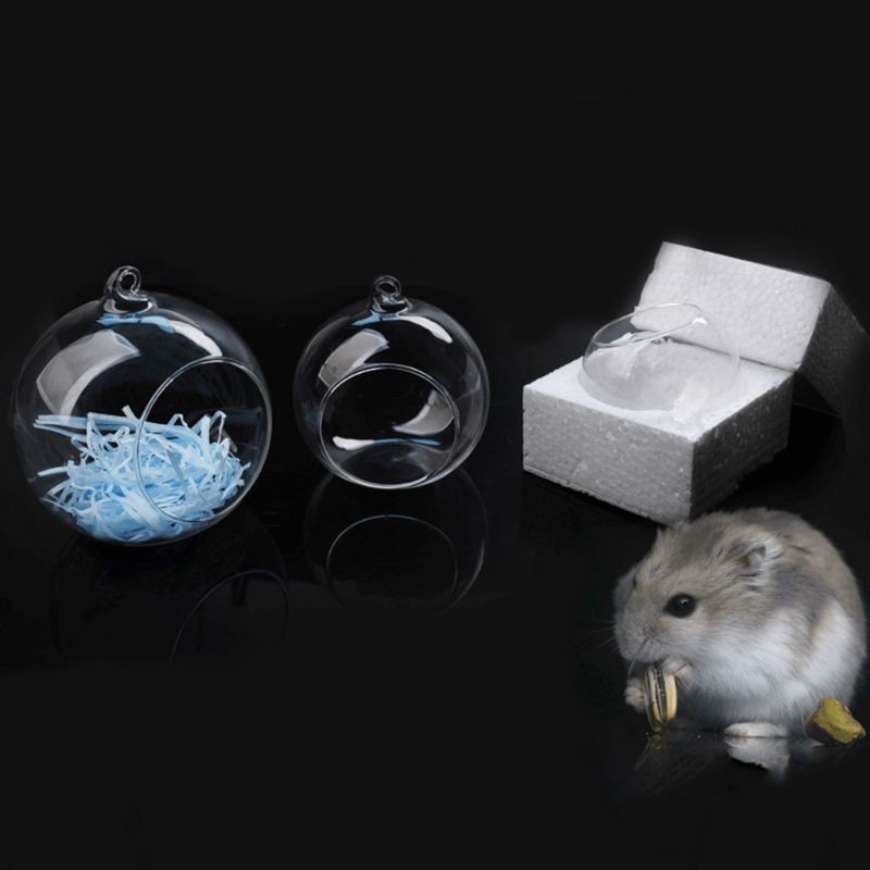 Nhà Trong Suốt Làm Mát Cho Chuột Hamster