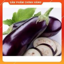 HẠT GIỐNG CÀ DÁI DÊ CAO SẢN