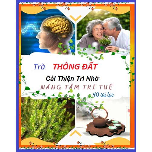 Trà Thông Đất, cải thiện trí nhớ, giảm ho ( 40 túi lọc )