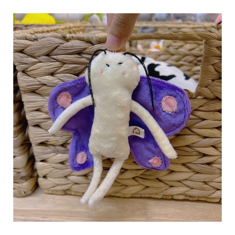 Người Bướm Của Tôi - Gấu Bông Đình May