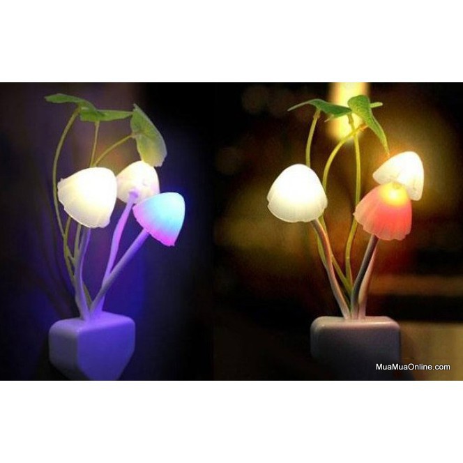 ✔ Đèn Ngủ Cảm Ứng Ánh Sáng Hình Nấm