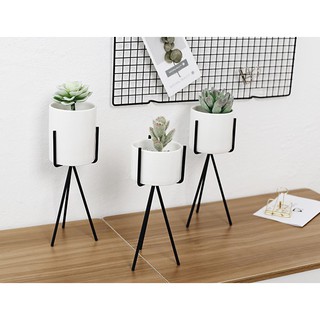Chậu cây sứ trắng để bàn Hàn Quốc chân cao (Matte Black) không cây