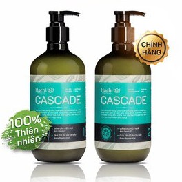 Dầu gội đầu olive cao cấp HACHI Cascade 500g xanh ngọc dành cho tóc gàu - Cặp dầu gội xả Cascade Hachi tinh chất bạc hà