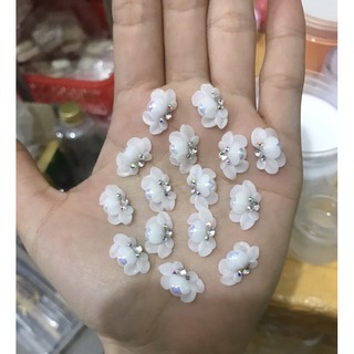 Hoa bột nail giá 1 cặp