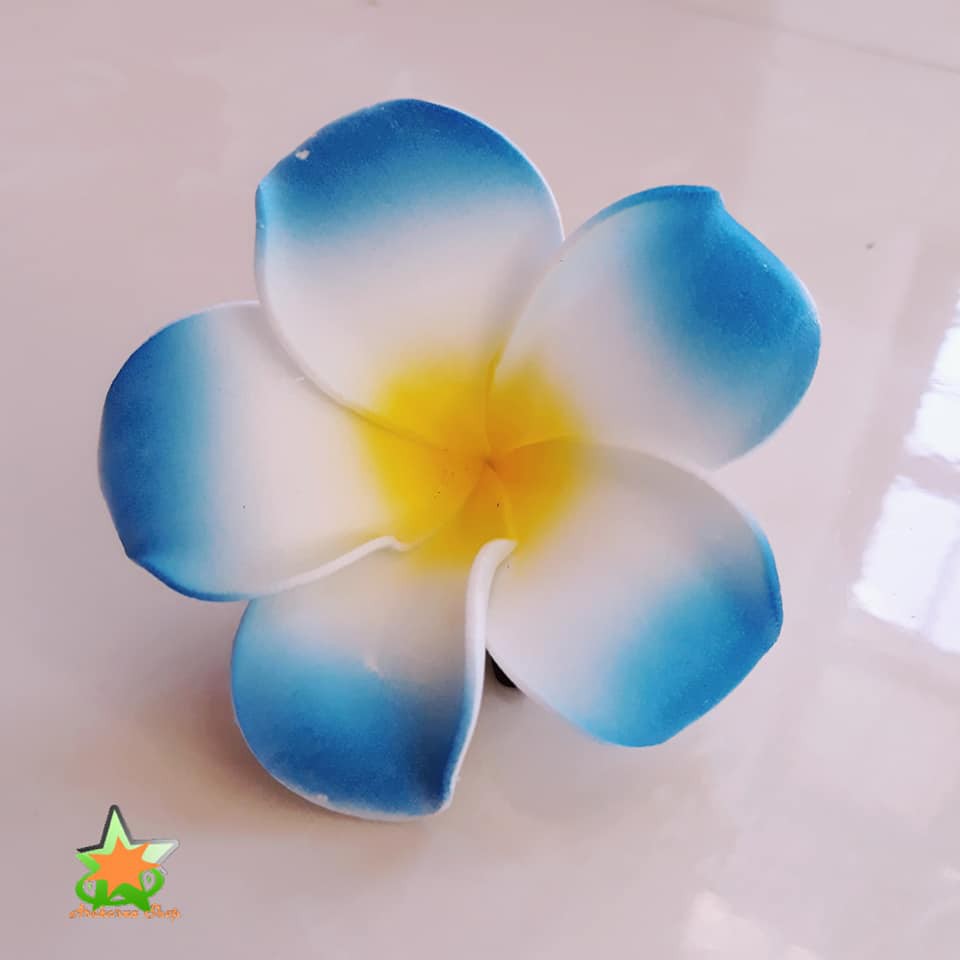 Hoa đại cài tóc đi biển, hoa sứ cài tóc