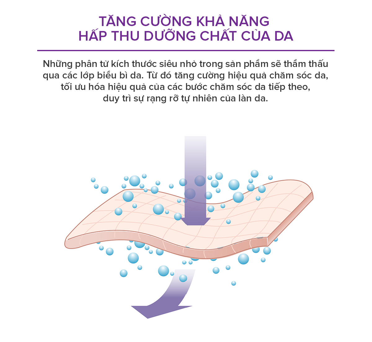 Nước cân bằng dưỡng da tươi sáng và căng mọng chiết xuất Tinh chất Tổ yến và Collagen 100ml