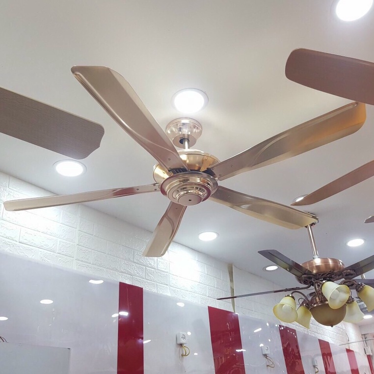 Quạt Trần Trang Trí Phòng Khách QTD603DV, Quạt Trần Điều Khiển Từ Xa, Không Bóng