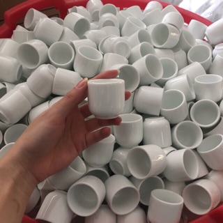 10 Chén trắng uống rượu