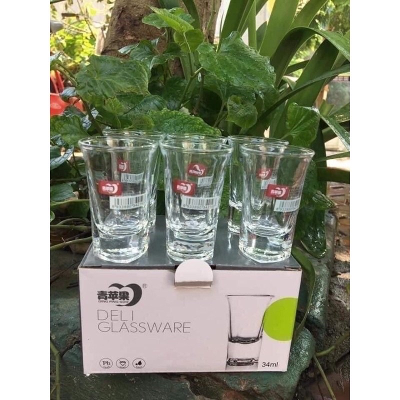 Set 6 Ly uống rượu Deli