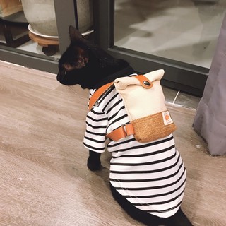 Túi ba lô cho thú cưng
