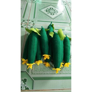 COMBO 5  TRÁI MƯỚP BẰNG VẢI NỈ