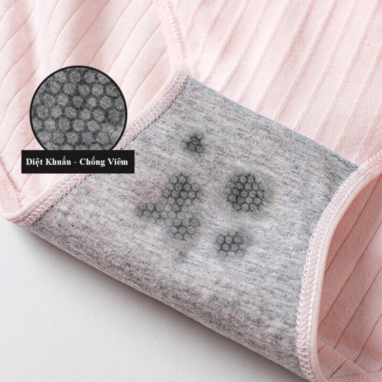 Quần Lót Cotton Pháp Sợi Tre Màng Kháng Khuẩn 225 nội y xanh giá rẻ, chất đẹp