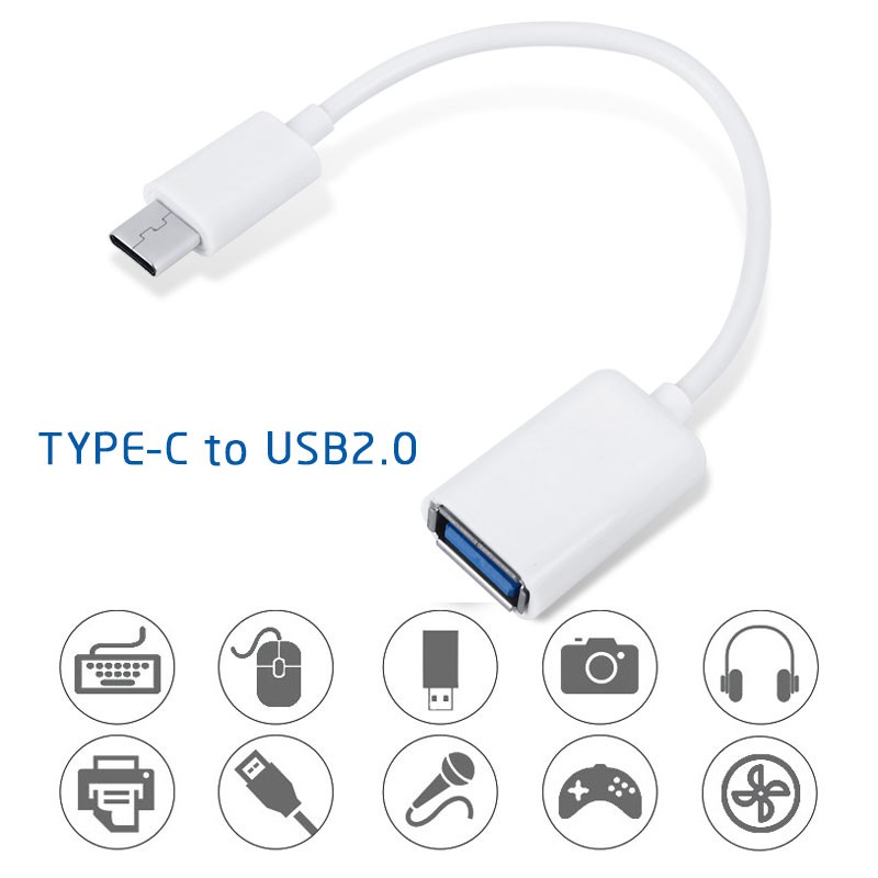 Dây cáp OTG cổng Type C chất lượng cao chuyên dùng cho laptop | BigBuy360 - bigbuy360.vn