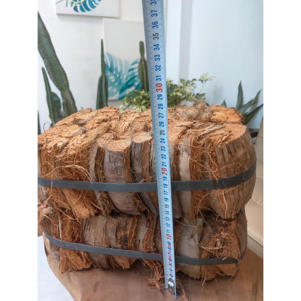Vỏ dừa khô ép bánh dùng trồng cây chống úng (set 2 bánh)