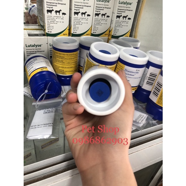 Doramectin ve ghẻ cho thú cảnh, chó , mèo lọ 50ml