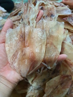 Mực Cà Mau 500g (50 con)