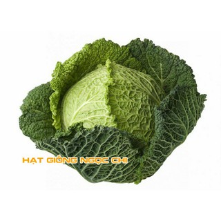 Hạt Giống Bắp Cải Nhăn - 0.2Gr