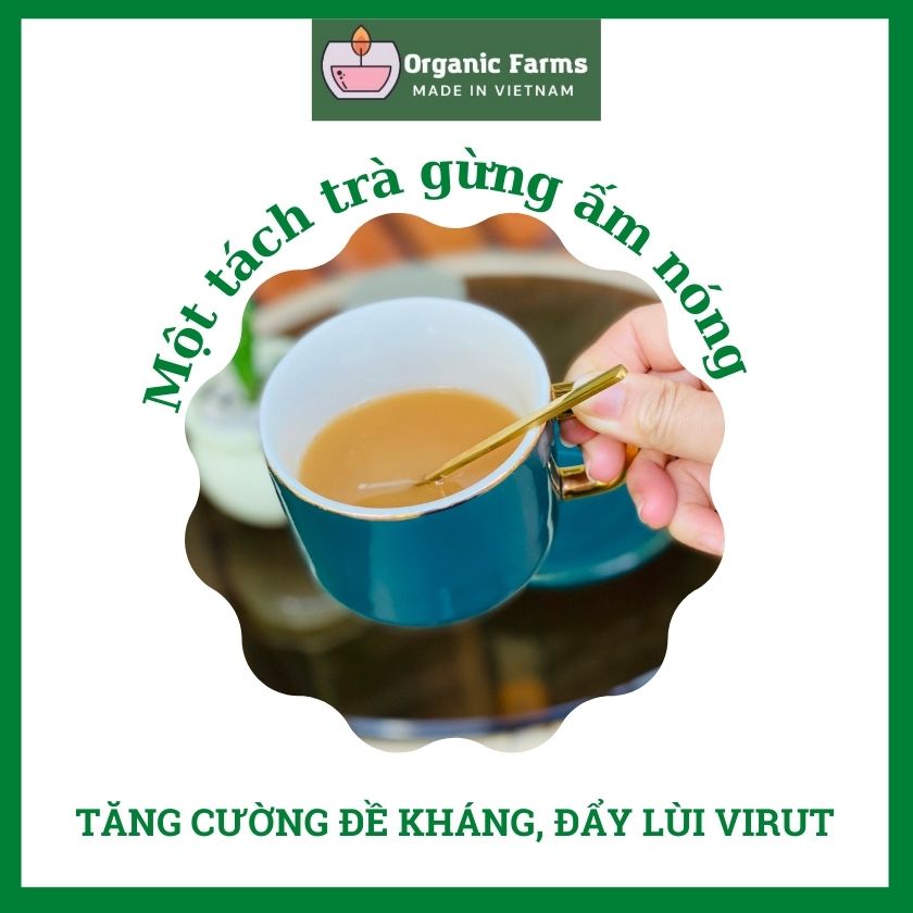 Bột gừng túi lọc The Moshav Farm - The Moshav Farm Ginger power bag filter