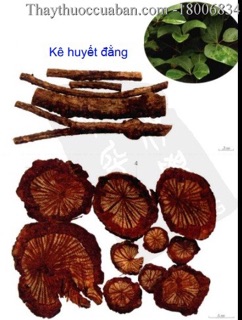 Thảo dược ngâm chân set 10 gói