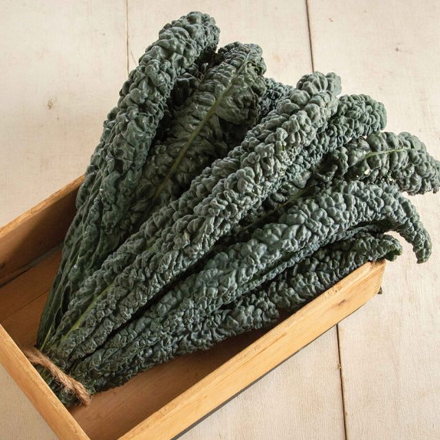 Combo hạt cải Kale khủng long xanh - Kale Black Magic Mỹ Johnny Seed chịu nhiệt tốt trồng quanh năm