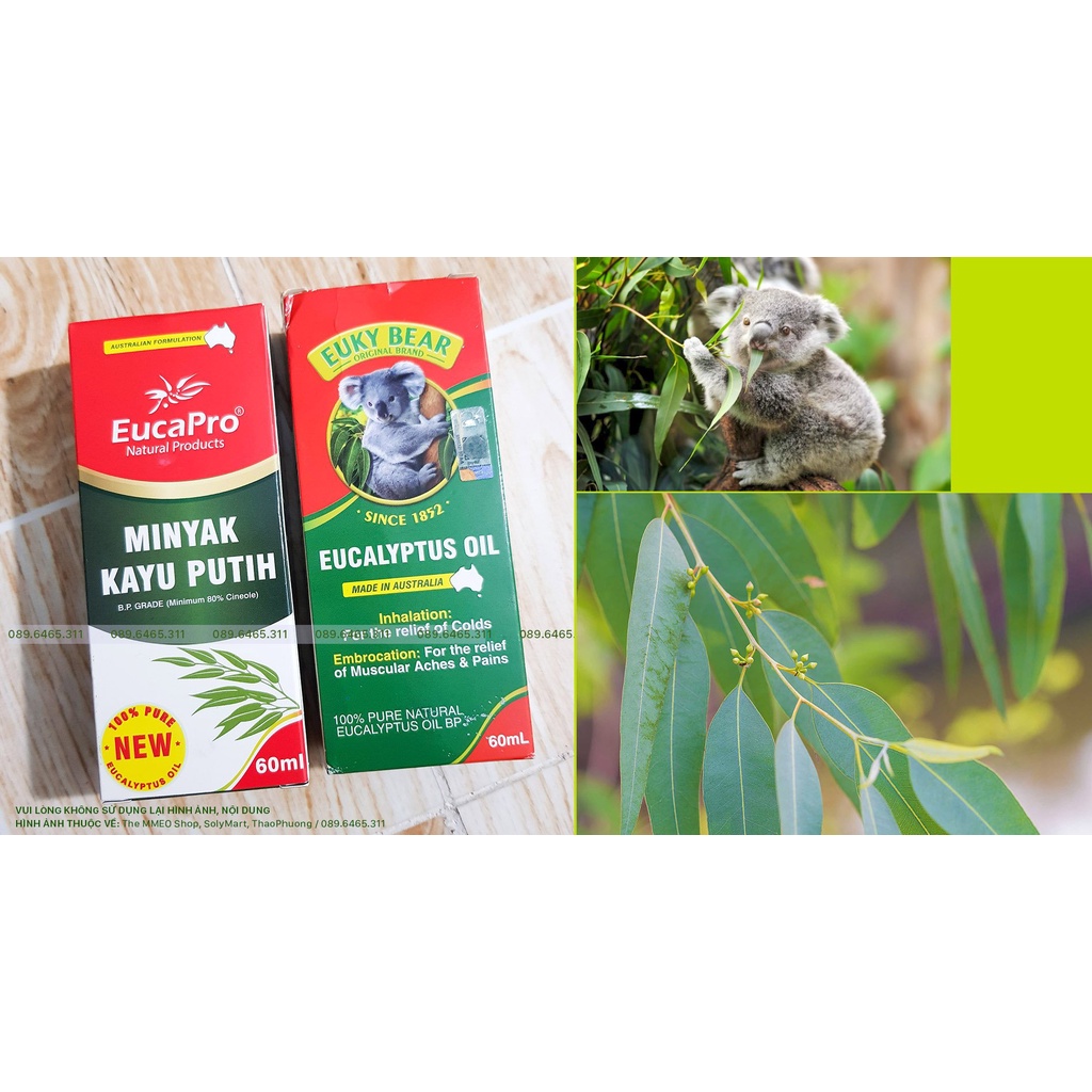 Dầu Khuynh Diệp Euky Bear / Eucapro 60ML