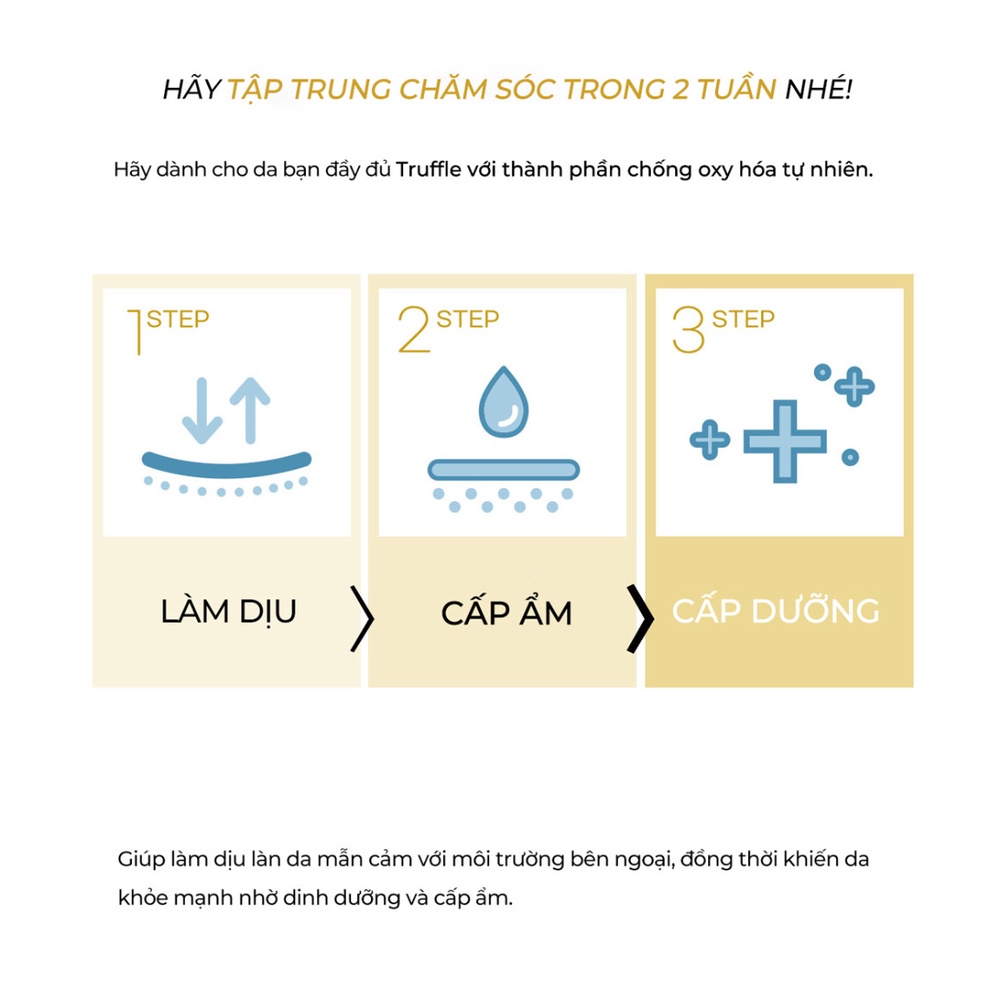 Tinh chất dưỡng ẩm và ngăn ngừa lão hóa giúp da căng bóng Beaurunch Truffle Consommé Ampoule