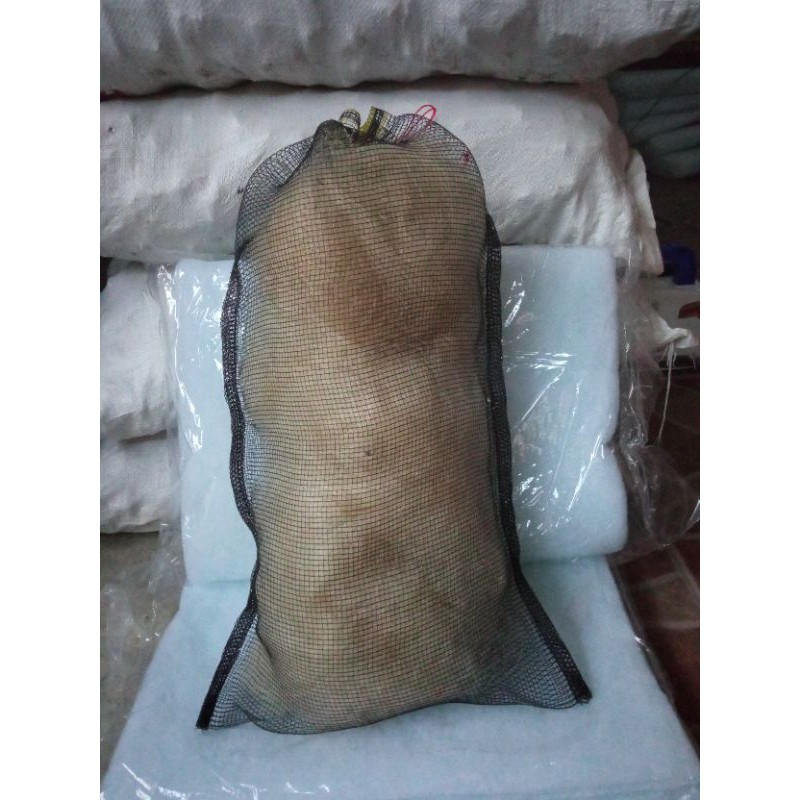 Lưới Lọc Hồ Cá 1kg Thay Thế Chất Lượng Cao