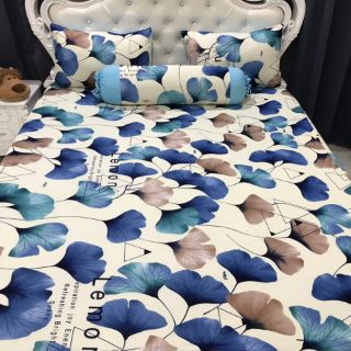 Drap thun hàn quốc