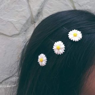 Kẹp tóc cúc hoạ mi