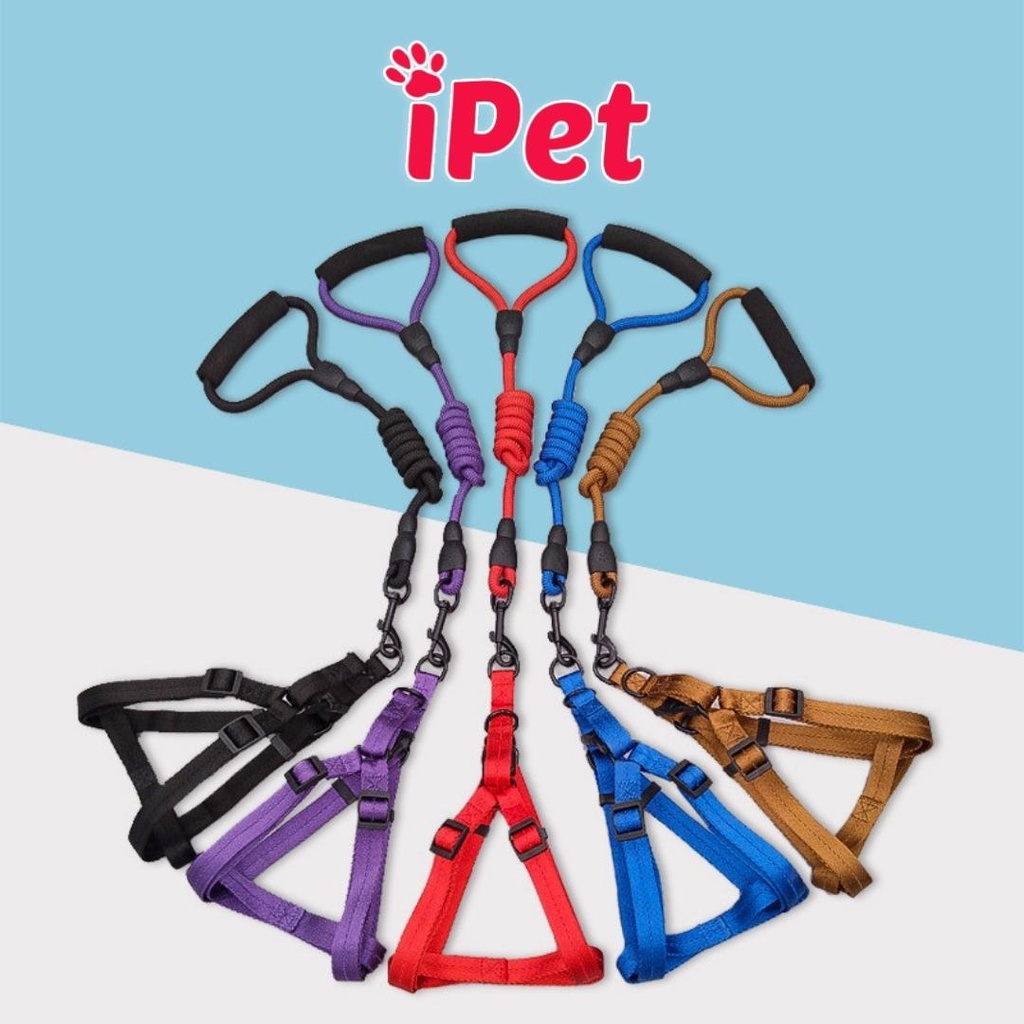 Dây Dắt Kèm Đai Người Cho Chó Mèo Có Mút Cầm Tay - iPet Shop