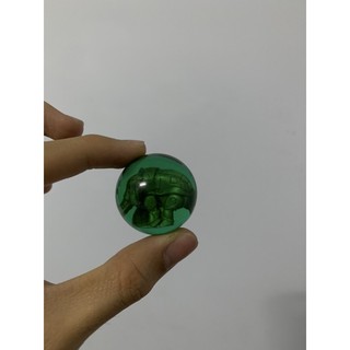 Ngọc Gao Voi