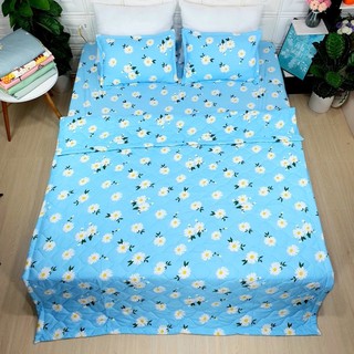 Trọn Bộ Chăn Ga Gối Hè Thu 5 Món - Cúc Hoạ Mi Xanh