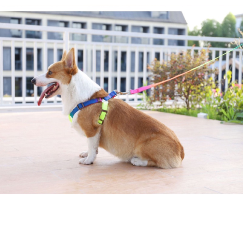 BỘ DÂY DẮT KÈM YẾM MÀU SẮC CẦU VỒNG BẢN DẸP CHO CHÓ, XÍCH CHO THÚ CƯNG - LOVE PETS SHOP