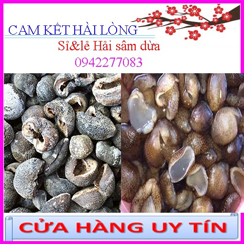 Hải sâm dừa 100gr. Đồn đột dừa. Hải sâm nhãn. Lựu dừa