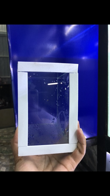 Hồ kính mini , hồ betta , keo betta , hồ show