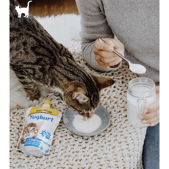 Sữa Gimcat Milk - sữa dinh dưỡng cho mèo 200ml