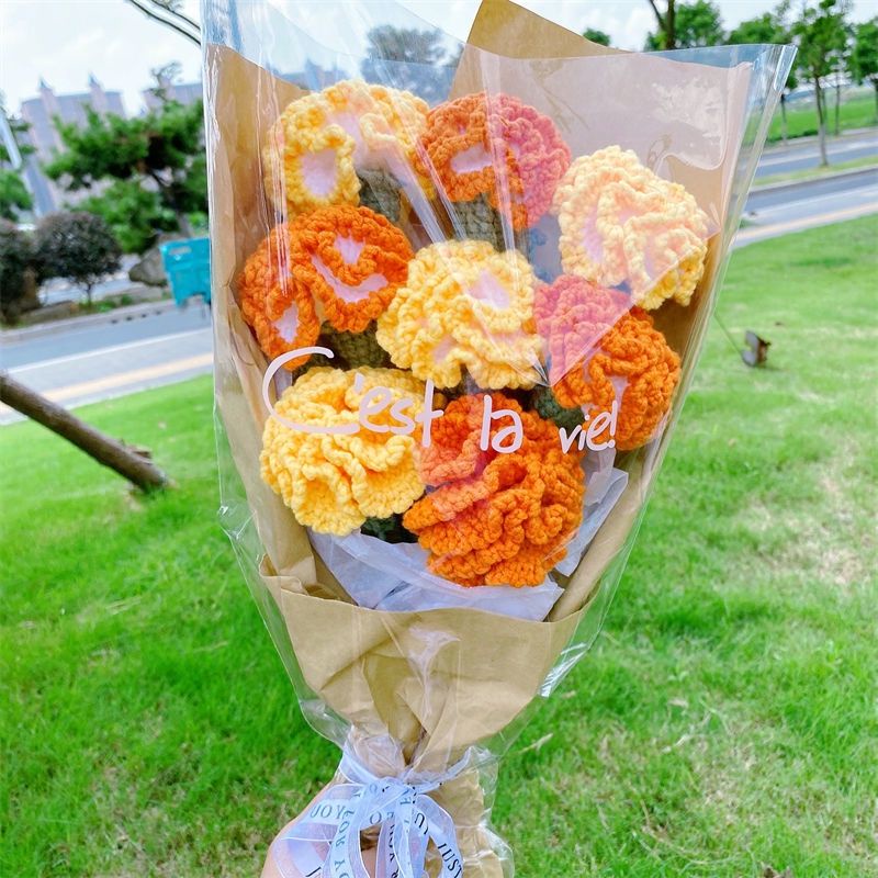 Hoa Len _ Hoa Cẩm Chướng (1 bông)