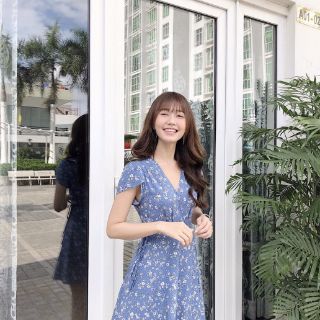 ĐẦM HOA NHÍ