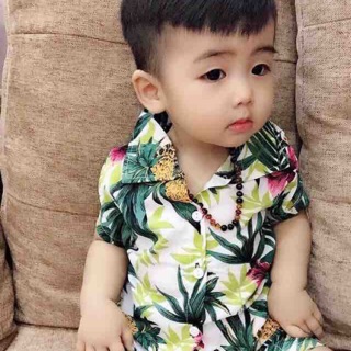 Combo 50b của bảo châm