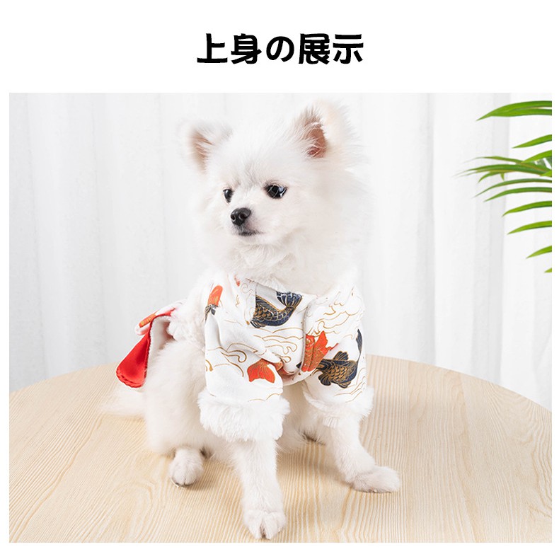 Đầm gấm cho chó mèo mặc Tết, phong cách Nhật Bản