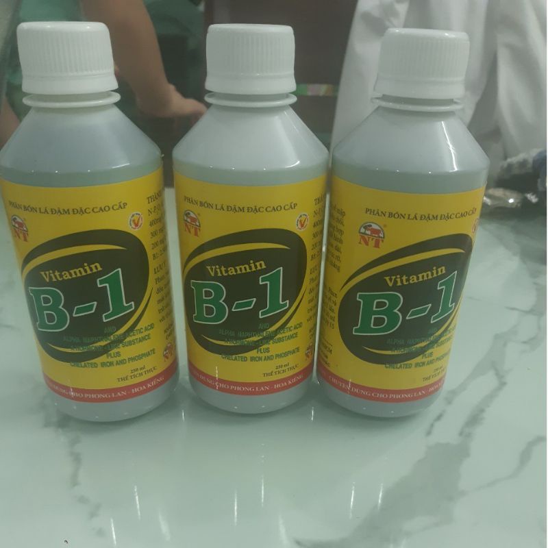 PHÂN BÓN LÁ VITAMIN B1 CAO CẤP ĐẬM ĐẶC CHAI LỚN