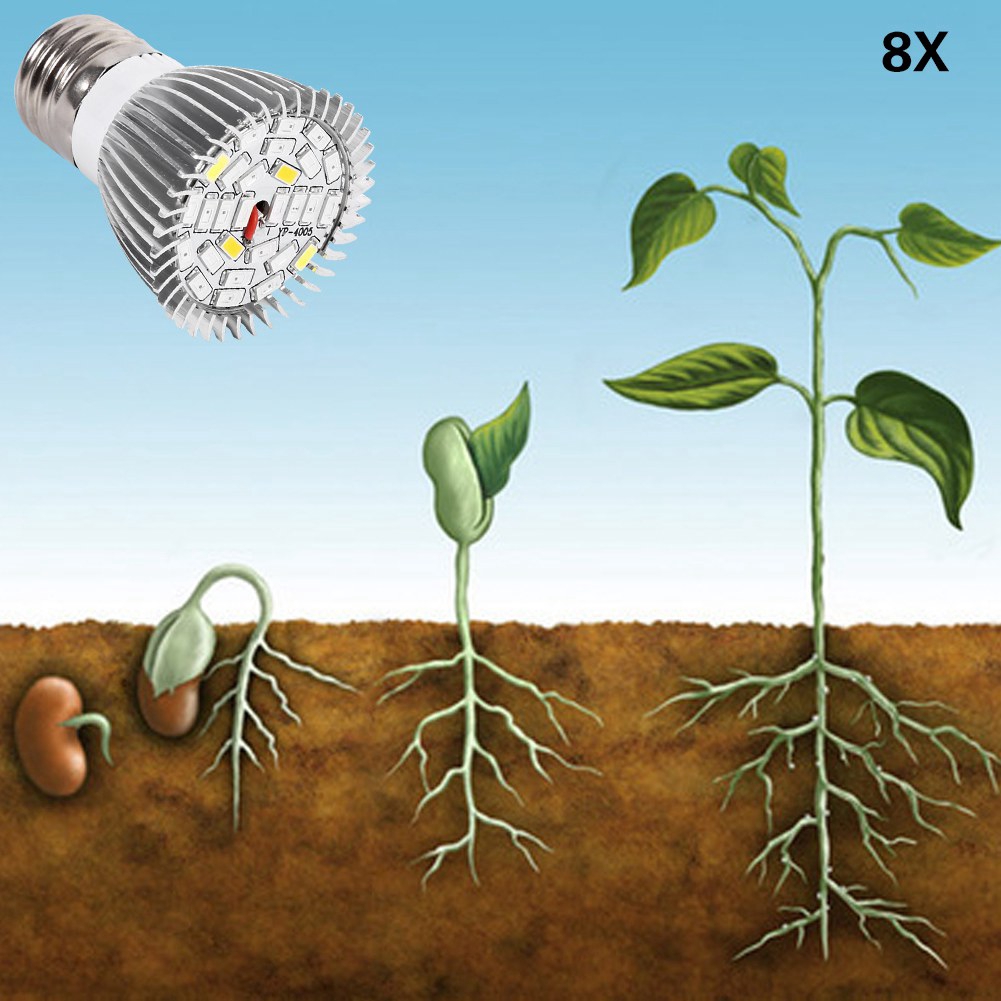 Bóng đèn LED quang phổ toàn phần trồng cây