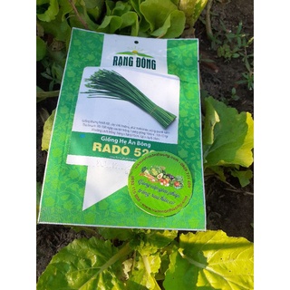 Gói 1g Hạt Giống Hẹ Ăn Bông Rado 523 Rạng Đông
