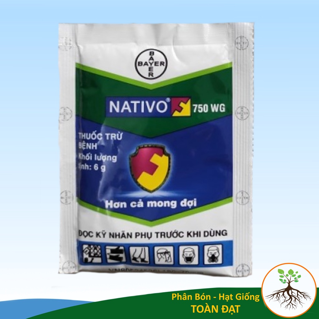 Thuốc trừ bệnh NATIVO 750WG (6g)