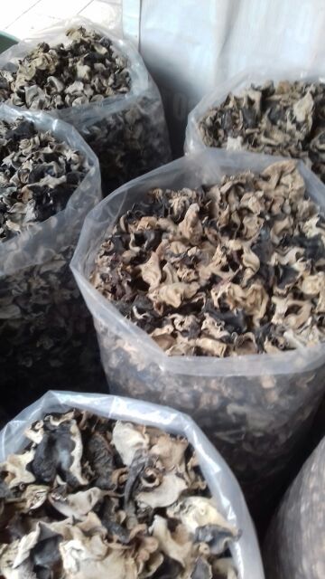 Mộc nhĩ khô đã cắt chân sạch sẽ gói 1kg