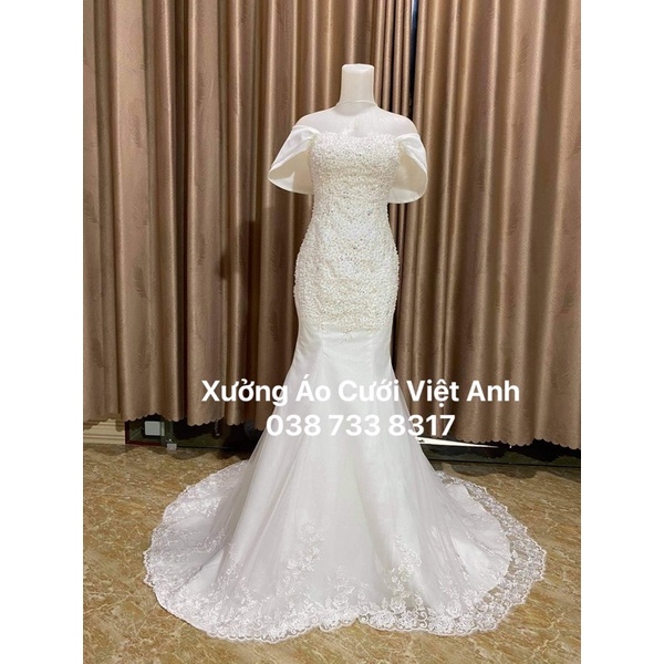 Áo bó cá cao cấp