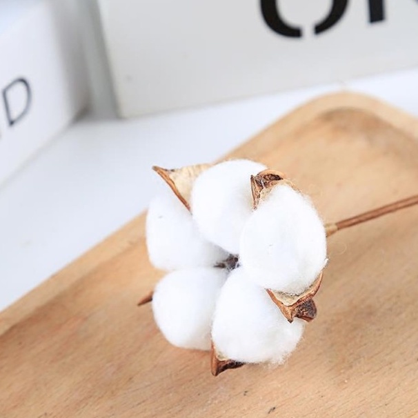 Bông tẩy trang ULi 200 miếng cotton tự nhiên 3 lớp cao cấp nội địa Trung